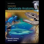 Comparative Vertebrate Anatomy: Laboratory Dissection Guide