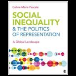 Social Inequality and the Politics of Representation