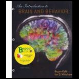 Introduction to Brain and Behavior (Loose)   With S. G.