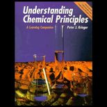 Understanding Chemical Principles  A Learning Companion