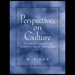 Perspectives on Culture  A Critical Introduction to Theory in Cultural Anthropology