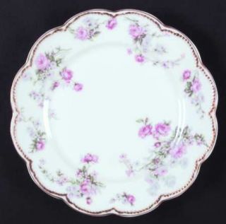 Haviland Schleiger 261 Dinner Plate, Fine China Dinnerware   H&Co,Blank 22,Pink/