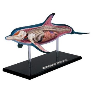 John N. Hansen 4D Vision Dolphin Anatomy Model