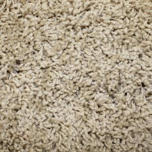 Home Decorators Collection Ryedale II   Color Caren 12 ft. Carpet HD064 TW3