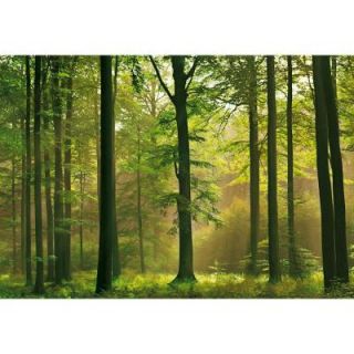 Ideal Decor 100 in. x 0.25 in. Autumn Forest Wall Mural DM216