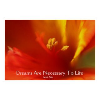 Dreams Are Necessary To Life Poster