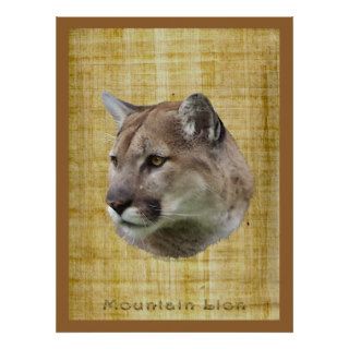 COUGAR, MOUNTAIN LION, PUMA Poster