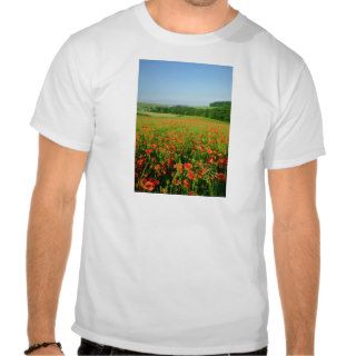 Orange Agricultural poppy field, Falmer Tshirt