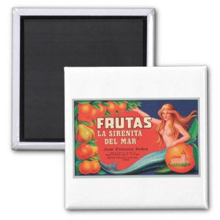 Vintage Frutas Crate La Sirenita Del Mar Crate Lab Refrigerator Magnets