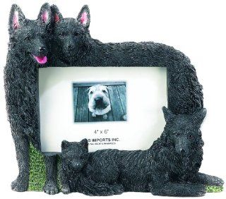 E&S Pets 35257 104 Large Dog Frames : Pet Memorial Products : Pet Supplies