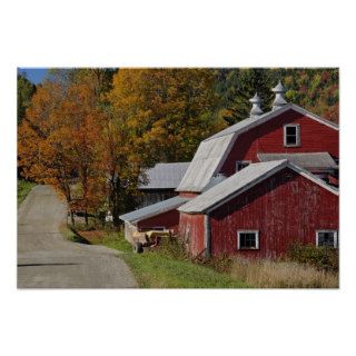 Road beside classic rural barn/farm in autumn, print