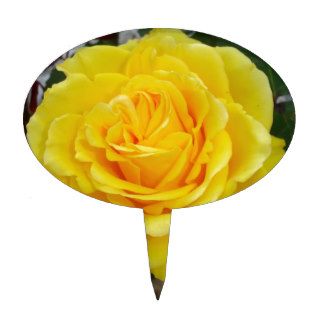 Head On View Of A Yellow Rose With Garden Cake Pick