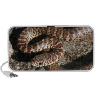 Angry Looking Snake Portable Speakers