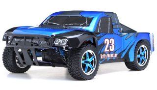 1/10th 2.4Ghz Brushless Exceed RC Rally Monster Electric RTR Racing Truck (DD Blue) Toys & Games