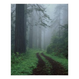 NA, USA, California. Del Norte Coast State Park. Posters