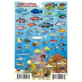 Caribbean Sea Reef Creatures Guide Laminated Fish Card (4" x 6"): Franko Maps Ltd.: 9781931494960: Books