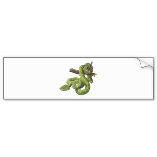 Snake Waglers Palm Viper Snake Bumper Stickers