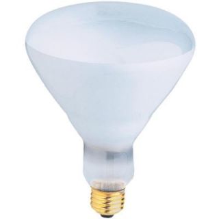 Feit Electric 400 Watt Incandescent R40 Pool and Spa Flood Light Bulb (24 Pack) 400R/FL/24