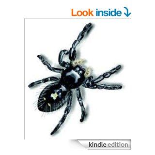 THE SPIDER BOOK eBook John Henry Comstock Kindle Store