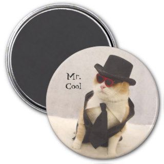 Mr. Cool Magnets