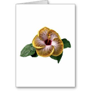 Hibiscus Fifth Dimension Greeting Cards