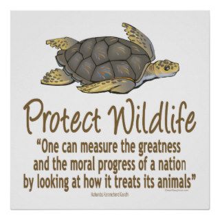 Protect Sea Turtles Poster