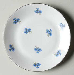 Chodziez Poland Karen Bread & Butter Plate, Fine China Dinnerware   Blue Flowers