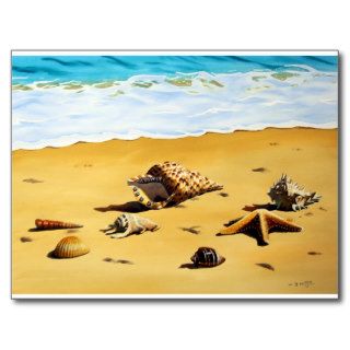 Sea Shell Series I Postcard