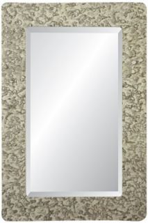 Dijon Castleton 36" High Rectangular Wall Mirror: Home Improvement