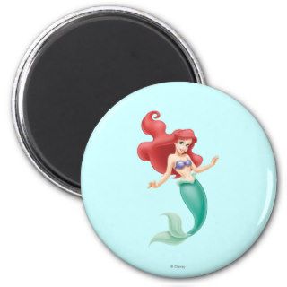 Ariel Swimming Magnets