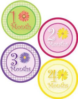 Baby Girl Flowers Monthly Onesie Sticker with Gingham Pattern   Waterproof and Durable   Includes 1 12 Month Stickers : Nursery Wall Decor : Baby
