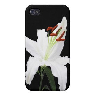 White lily covers for iPhone 4