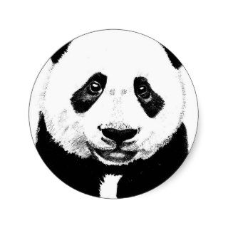 Panda drawing sticker