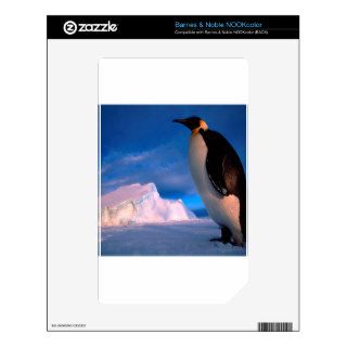 Penguin Emperor Antarctica NOOK Color Skin