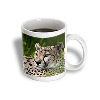 3dRose Cheetah Ceramic Mug, 11 Ounce: Kitchen & Dining
