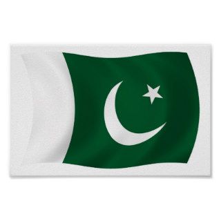 Pakistan Flag Poster Print