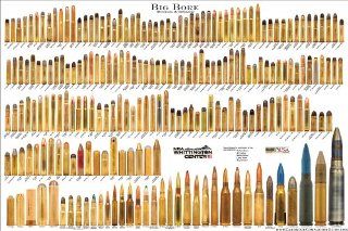 BIG BORE (Standard & Obsolete)   Bullet Poster (Cartridge Comparison Chart): Sports & Outdoors