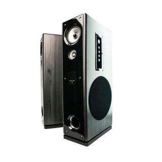 Eagle Tech, USA ET AR602R BK 45Hz to 20kHz 180 Watts Peak Floor Standing Powered Speakers with Remote Control and Karaoke Input (Black/Gray, Set of 2): Electronics