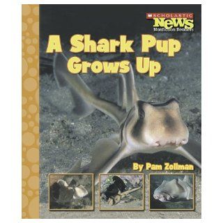A Shark Pup Grows Up (Scholastic News Nonfiction Readers: Animal Life Cycles): Pam Zollman: 9780516249452: Books