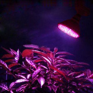 E27 110V 80LED 3.8W Red Blue Plant Grow Light Bulb Indoor Garden Hydroponic Lamp: Home Improvement
