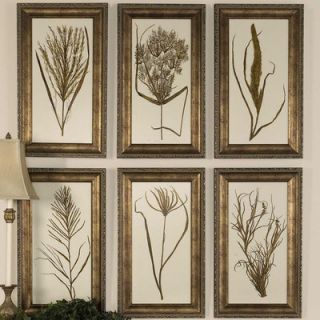 Uttermost Wheat Grass Wall Art (Set of 6)