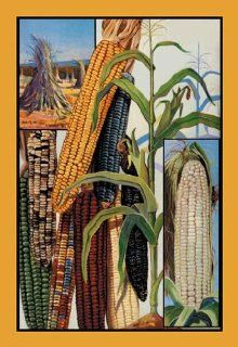 Indian Corn 20x30 poster: Toys & Games