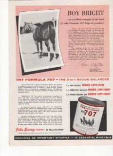 Boy Bright Quarter Horse Formula 707 Conditioner 1963 Antique Advertisement : Prints : Everything Else