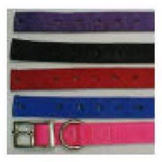 American Leather Specialties #33984 2 1x48 Large Dog Lead Assorted 