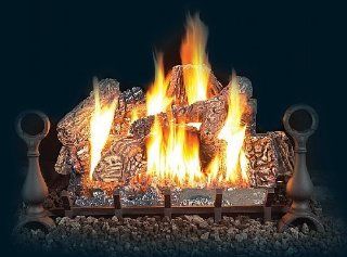 Vent Free Fireplace Gas Log Sets Size: 24", Fuel Type: Natural Gas   Infrared Fireplace Insert