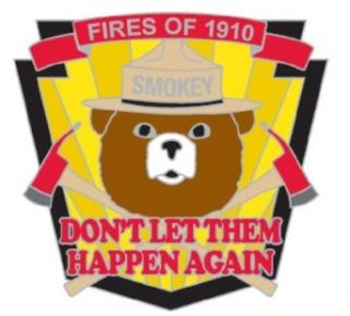 Smokey The Bear Metal Lapel Pin   "Fires of 1910" Commemorative Year Anniversary: Novelty Buttons And Pins: Clothing