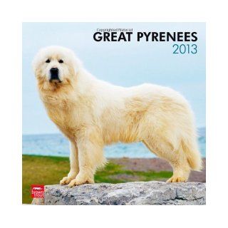 Great Pyrenees 2013 Square 12X12 Wall Calendar (Multilingual Edition): BrownTrout Publishers: 9781421698182: Books