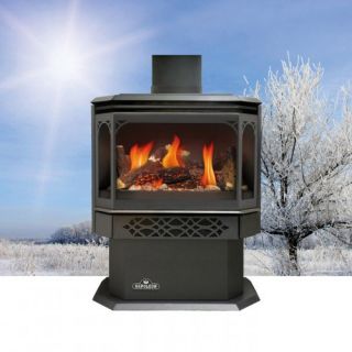 Napoleon Compact Direct Vent Gas Stove   Gas Stoves