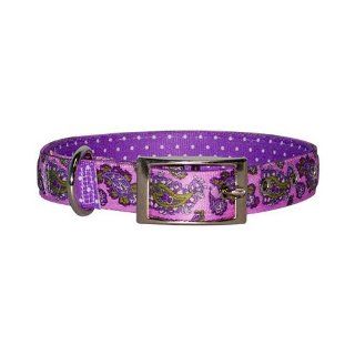 Yellow Dog Design Uptown Collar, Large, Purple Paisley on Purple Polka : Pet Collars : Pet Supplies