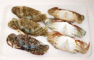 Frozen Sashimi Grade Large Soft Shell Crabs   Twelve Pieces ~1.5 lbs : Crab Seafood : Grocery & Gourmet Food